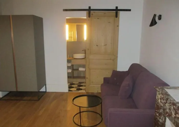 Saint Vincent 3* ליון